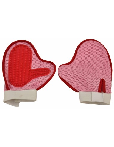 Gant brosse pour animaux de compagnie