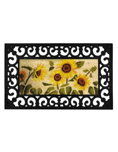 Felpudo coco y goma intercambiable cm 45 X 75 DUPLO