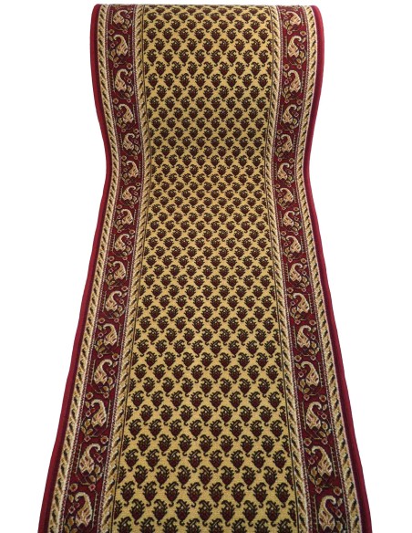 CLASSICA 2 Tapis personnalisé 67 cm de large