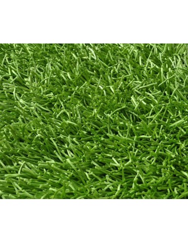 Shaggy Teppich cm 60 X 110