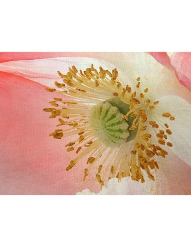 Bettlaken mit Digitaldruckkissen NATURA