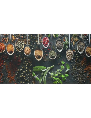 Antideslizante alfombra TRANSFER SPEZIE