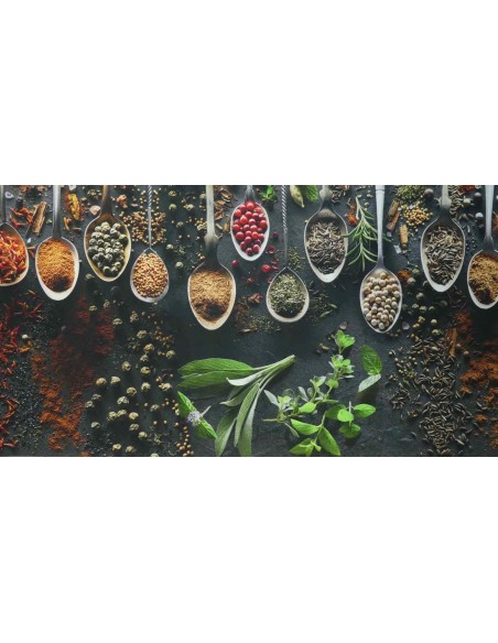 Teppich rutschfest TRANSFER SPEZIE