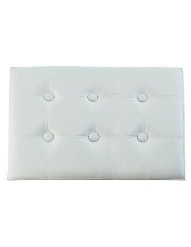 Ecopelle pouf panca contenitore tinta unita DOUBLE