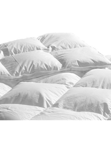 Alaska 4 stagioni Gänsedaunen Sie einzelne cm 150X200