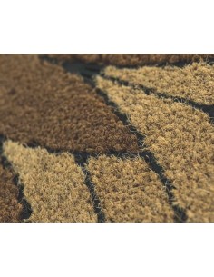 Hit semicerchio noix de coco et caoutchouc tailles zebino 2