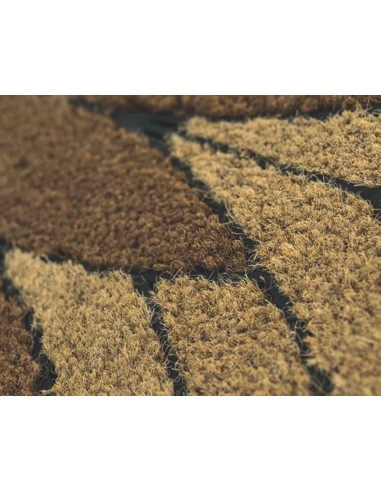 Hit semicerchio noix de coco et caoutchouc tailles zebino