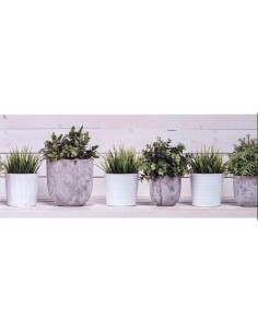 Transfiera la alfombra transportadora antideslizante de Los vasos