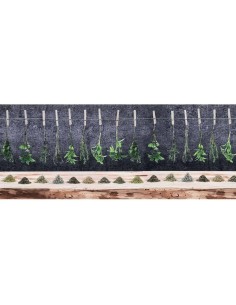 Alfombra de pastia antideslizante TRANSFER SPICES HANGING