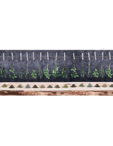 Alfombra de pastia antideslizante TRANSFER SPICES HANGING