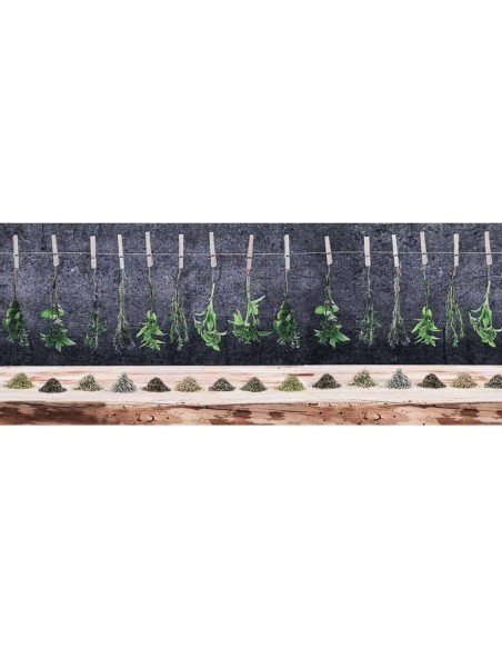 Anti-slip pastia tapis TRANSFER SPICES HANGING