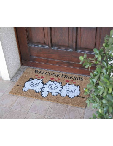 Paillasson rectangulaire en noix de coco cm. 40X70 CHAT JOYEUX