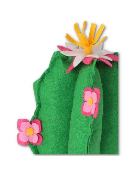 Mexico cactus fermaporta