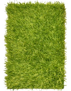 Shaggy tapis de 100 x 150 cm