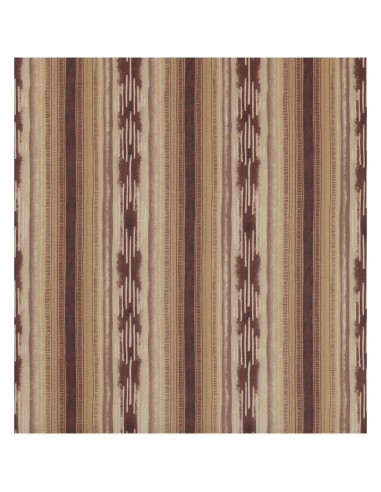 IKARUS tovaglia in cotone PLASTICATA varie misure