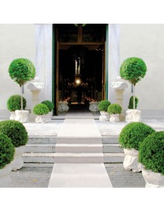 Tira de alfombra mágica grande modificada para requisitos particulares 1 mt para eventos y ceremonias de la boda 2