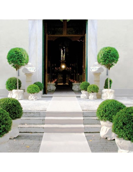 Tira de alfombra mágica grande modificada para requisitos particulares 1 mt para eventos y ceremonias de la boda