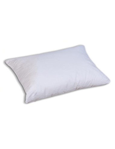 Coussin rectangulaire rembourré doux 40x60 cm.