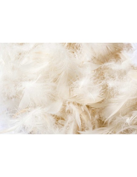 Atmungsaktives Kissen VERA PIUMA