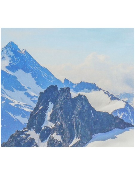 Funda de almohada Winter Photo Bed Cover