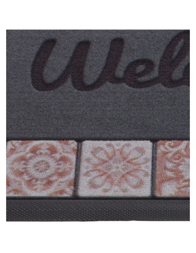 Tapis de saleté extérieur et intérieur 45X75 cm. MAJESTUEUX