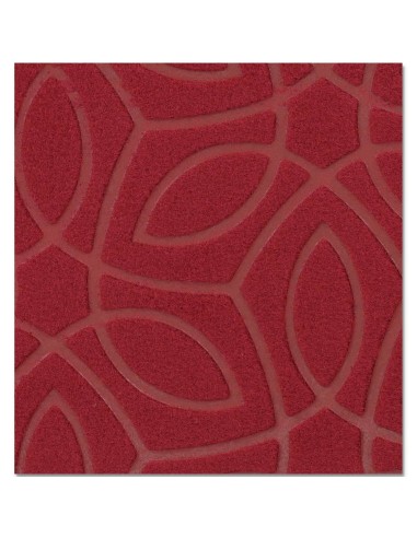 Zerbino scalino ingresso piccolo ZELI 25x70 cm.