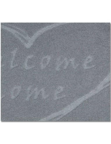 Paillasson d’entrée moyen ZELI 40x70 cm.