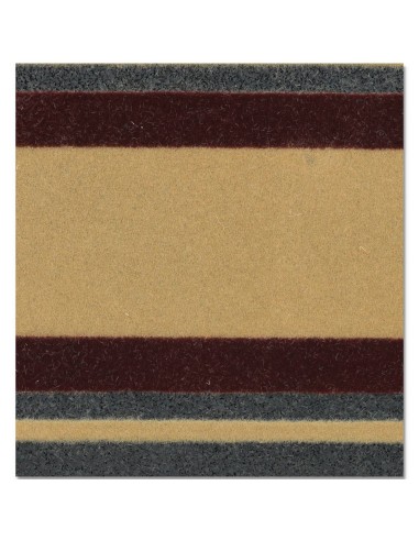 Zerbino scalino ingresso BORDO FLOMAT 25x70 cm.