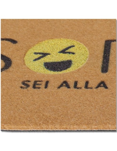 Tapis d’entrée en tapis COMIX avec serviettes à marche 40x70 cm.