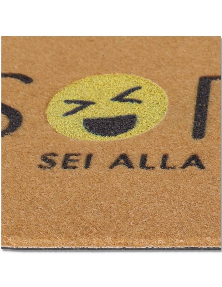 Tapis d’entrée en tapis COMIX avec serviettes à marche 40x70 cm.