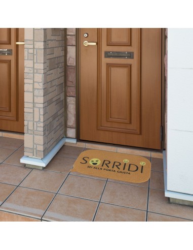 COMIX Teppich-Eingangsmatte mit Tritttüchern 40x70 cm.