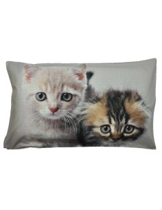 Almohada de la cama fotográficos impresión dos gatitos
