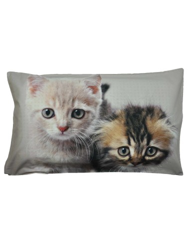 Almohada de la cama fotográficos impresión dos gatitos