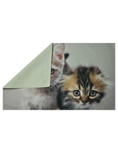 Federa cuscino letto stampa fotografica Due gattini 2