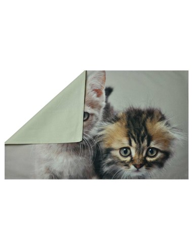 Federa cuscino letto stampa fotografica Due gattini