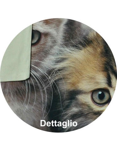 Federa cuscino letto stampa fotografica Due gattini