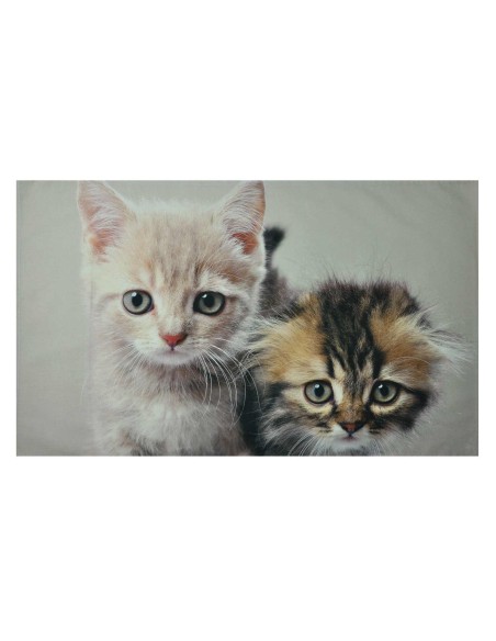 Due gattini Tirage photographique de lit oreiller taie d'oreiller