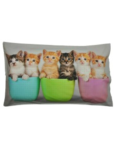 Federa cuscino letto stampa fotografica Gattini