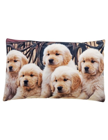 Tirage photographique de lit oreiller Labrador