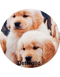 Federa cuscino letto stampa fotografica Labrador 2