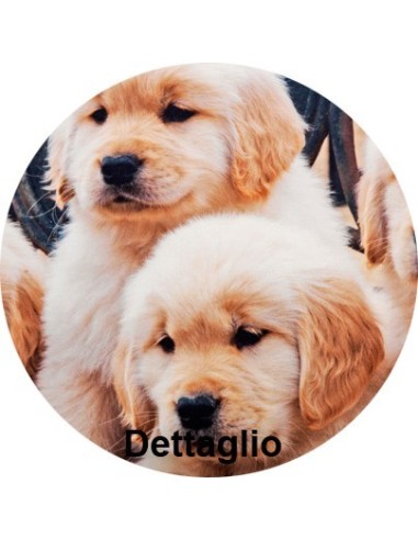 Federa cuscino letto stampa fotografica Labrador