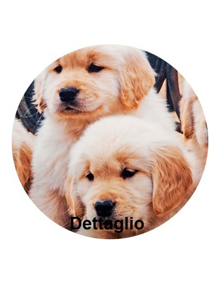 Impresión fotográfica de almohada cama Labrador