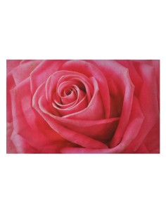 Rosa Bett Kissen Kissenbezug Fotoabzug 2