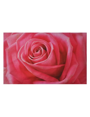 Rosa Tirage photographique de lit oreiller taie d'oreiller