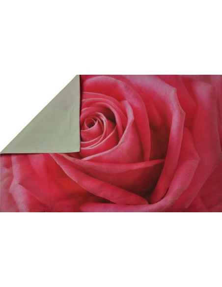 Cama con dosel rosa almohada