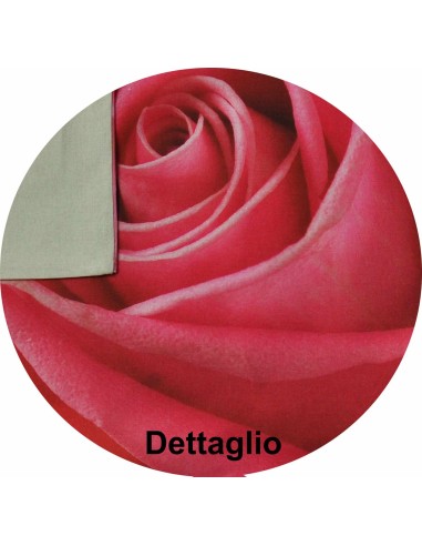 Cama con dosel rosa almohada