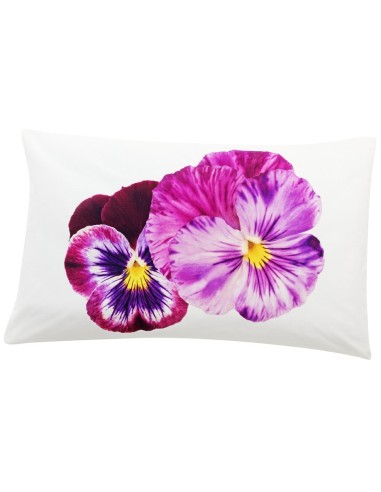 Tirage photographique de lit oreiller Violette