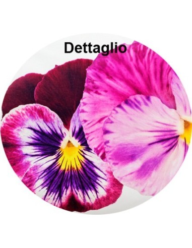 Federa cuscino letto stampa fotografica Violette