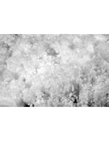 Guanciale my vip Sensifil  50x80 cm Kissen gegen asthma