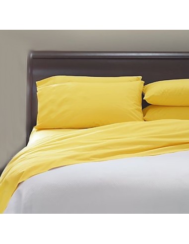 Pastello Free einfache Blatt über einzelne cm 150 x 290